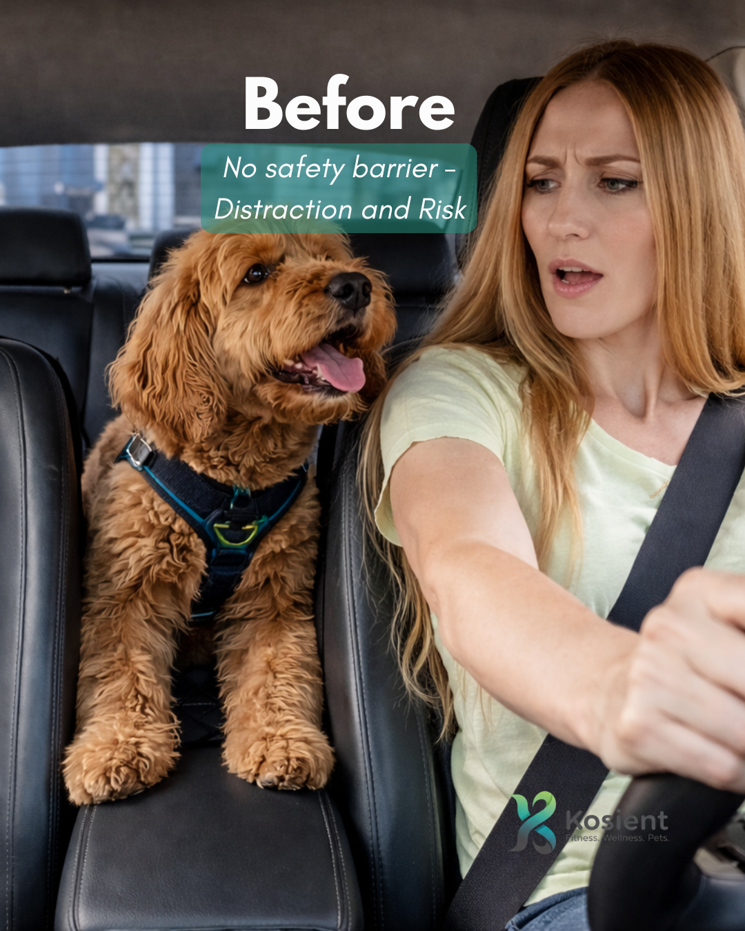 Dog Car Safety Barrier – Seat Gap Protector