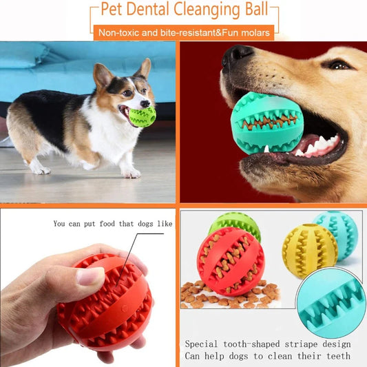 Interactive Chew and Treat Ball – Pet Toy