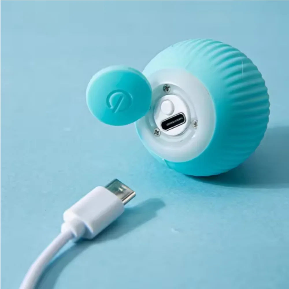 Automatic Interactive Play Ball