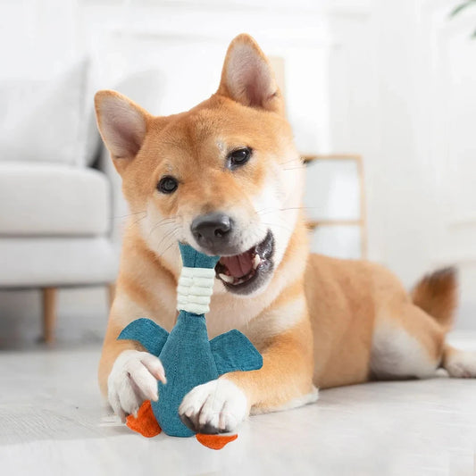 Pet Toys – Bite & Teeth Cleaning