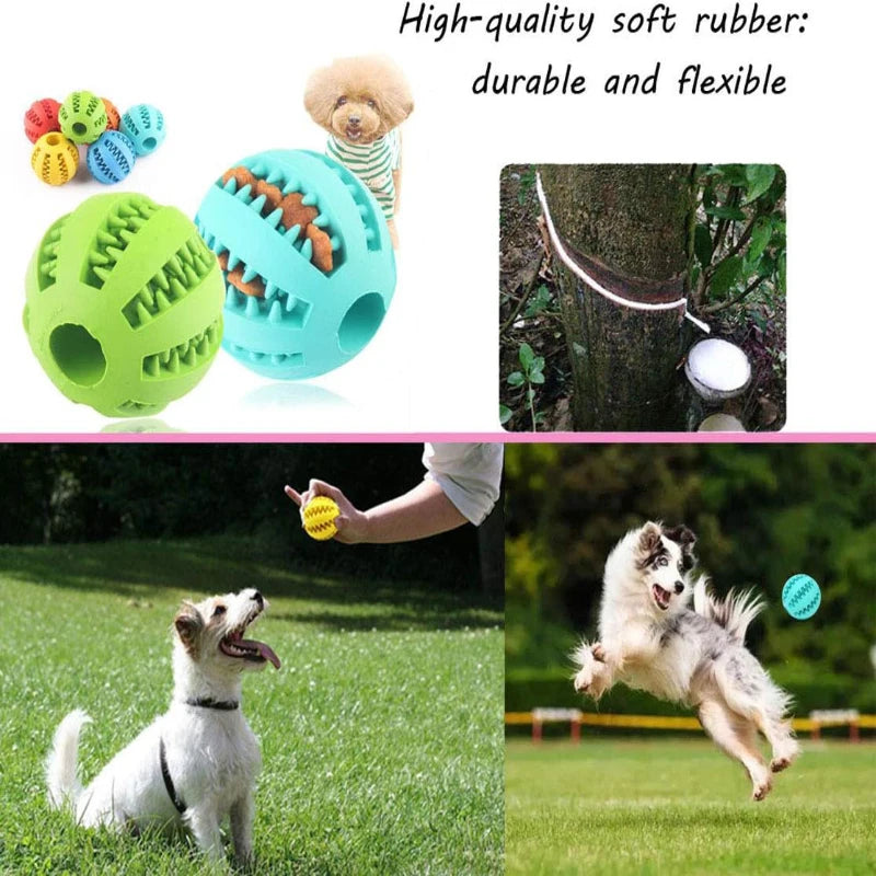 Interactive Chew and Treat Ball – Pet Toy