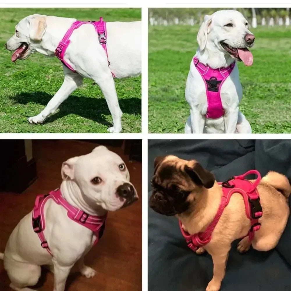 Adjustable & Breathable Chest Strap Dog Harness