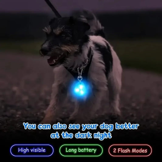 LED Pet Pendant Collar
